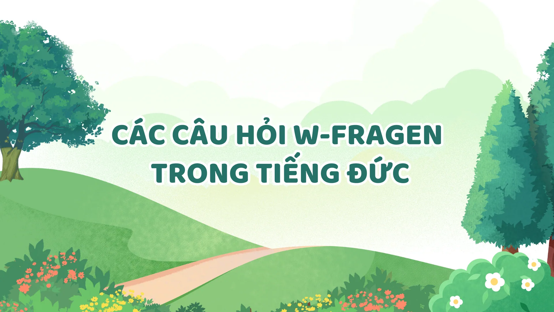Các câu hỏi W-Fragen trong tiếng Đức