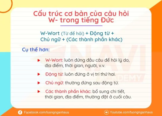 Infographic cấu trúc cơ bản của câu hỏi W- trong tiếng Đức: từ để hỏi đứng đầu, động từ ở vị trí thứ hai, rồi đến chủ ngữ và các thành phần khác.