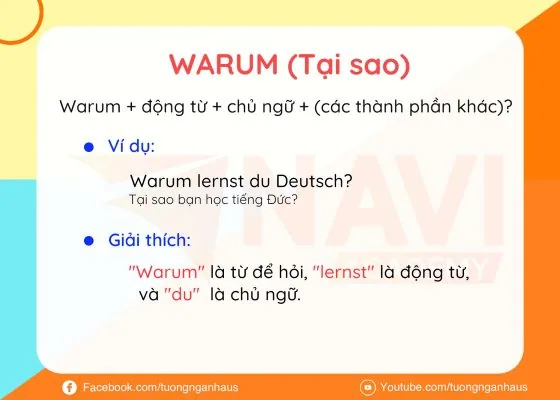 Thẻ học từ để hỏi Warum (tại sao): cấu trúc câu và ví dụ Warum lernst du Deutsch? kèm giải thích từng thành phần.