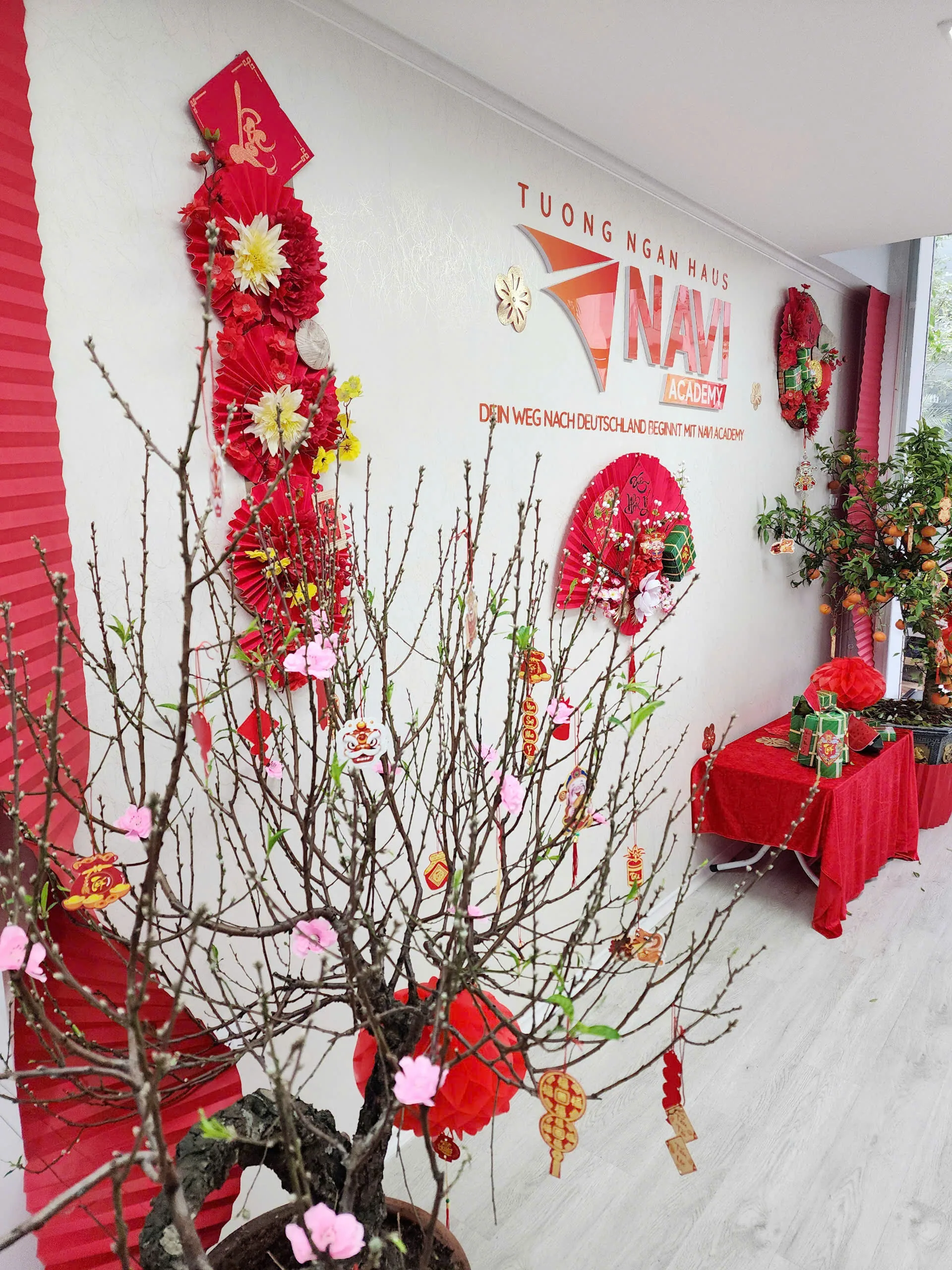 Sảnh NAVI Academy trang trí đón Tết với cành đào, quạt giấy đỏ trên tường logo và cây quất bên bàn quà.
