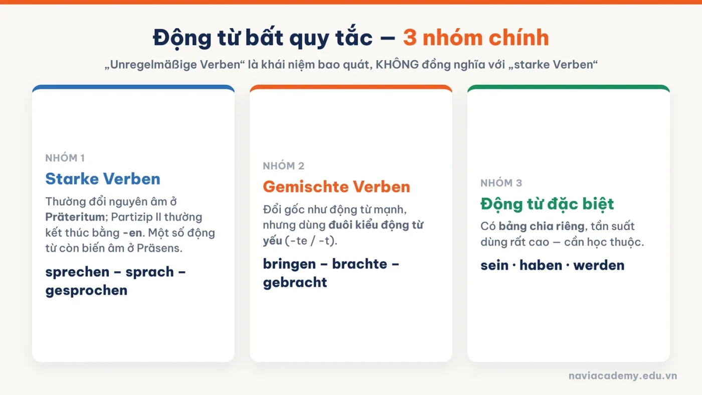 Ba nhóm động từ bất quy tắc tiếng Đức starke gemischte và động từ đặc biệt