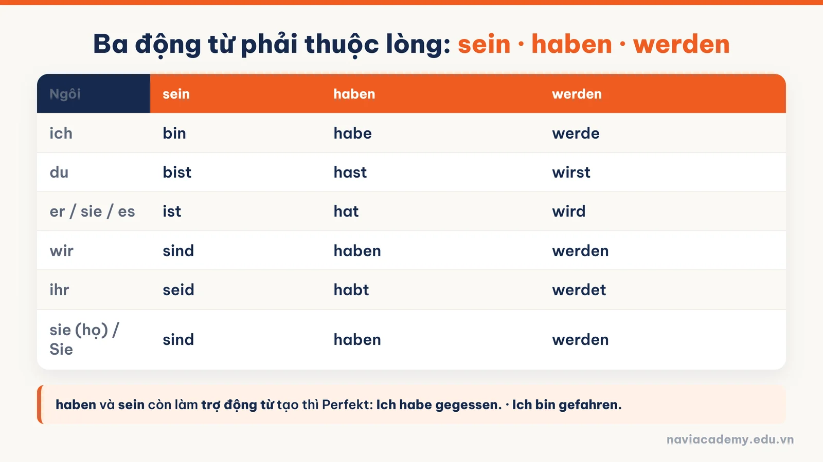 Bảng chia động từ sein haben werden tiếng Đức theo 7 ngôi