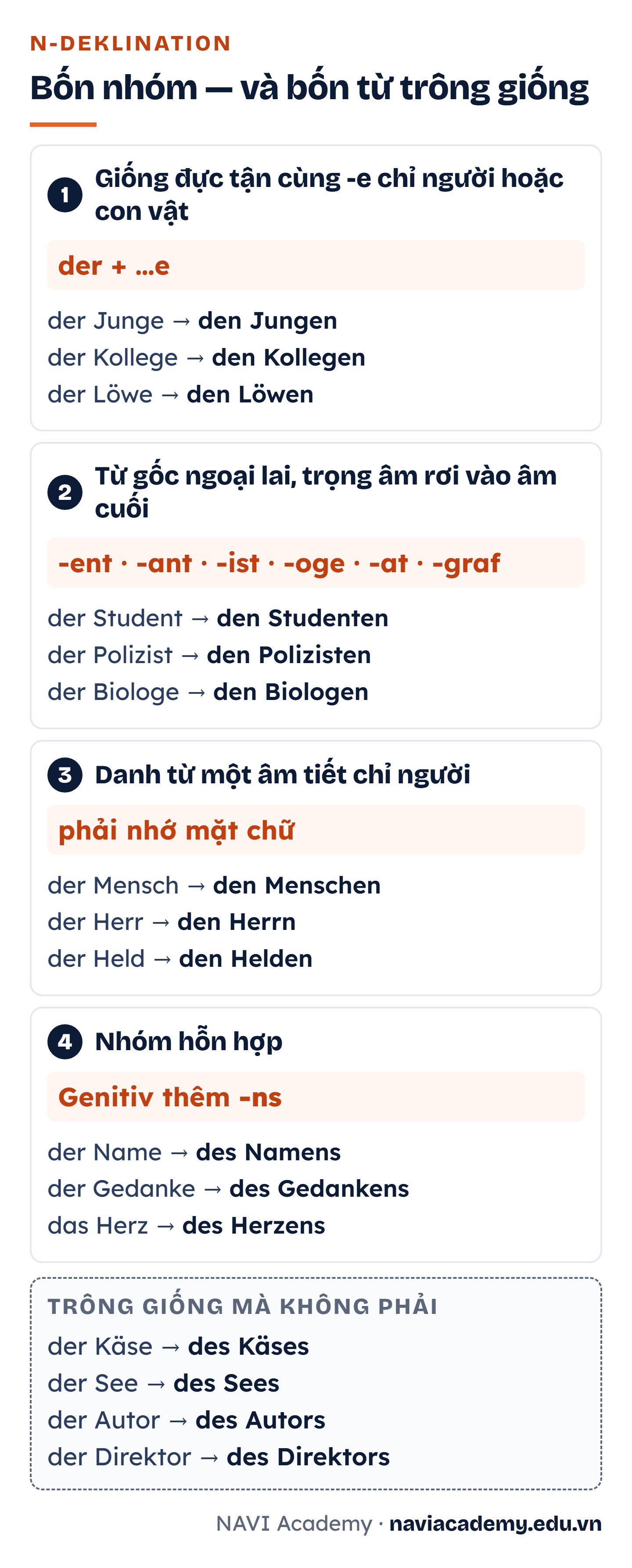 Bốn nhóm danh từ N-Deklination với dấu hiệu nhận biết: đuôi -e chỉ người hoặc con vật, từ gốc ngoại lai tận cùng -ent -ant -ist -oge -at -graf, danh từ một âm tiết chỉ người, và nhóm hỗn hợp thêm -ns ở Genitiv; dải cuối liệt kê der Käse, der See, der Autor, der Direktor là những từ trông giống nhưng chia bình thường