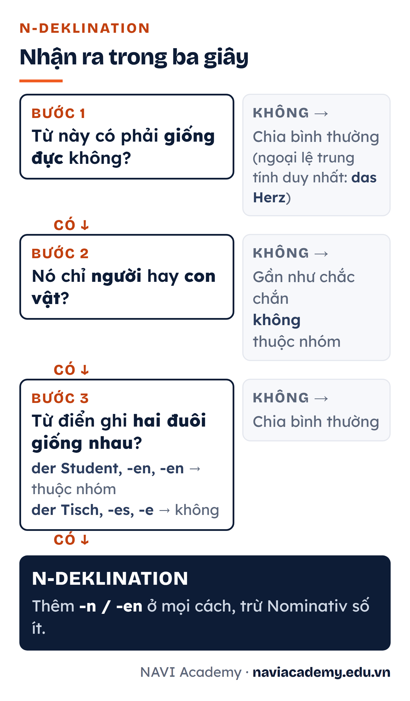 Cây quyết định ba bước để nhận ra N-Deklination: bước một hỏi danh từ có phải giống đực không, bước hai hỏi có chỉ người hoặc con vật không, bước ba hỏi từ điển có ghi hai đuôi giống nhau như der Student -en -en không; đủ ba điều kiện thì thêm đuôi -n hoặc -en ở mọi cách trừ Nominativ số ít